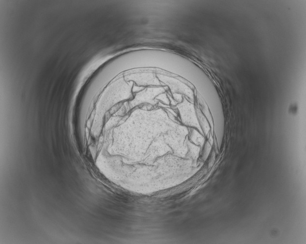 X0000116870294201002021133