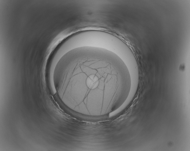 X0000116870296201002021133