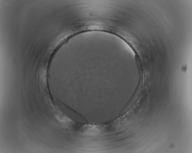 X0000116870297201002021133