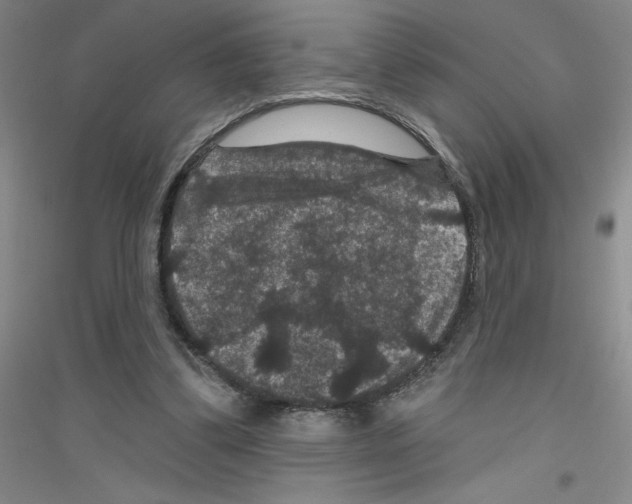 X0000116870299201002021133