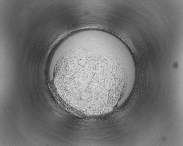 X0000116870300201002021133