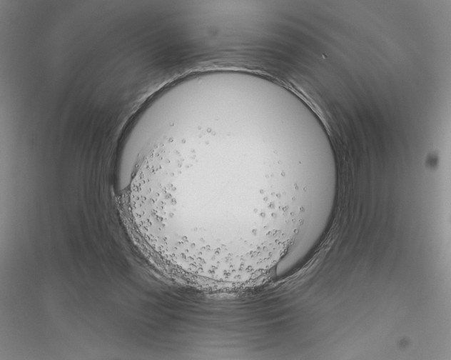 X0000116870301201002021133