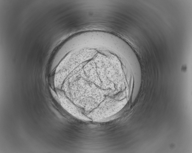 X0000116870302201002021133