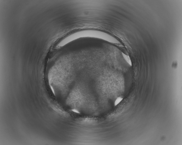 X0000116870303201002021133
