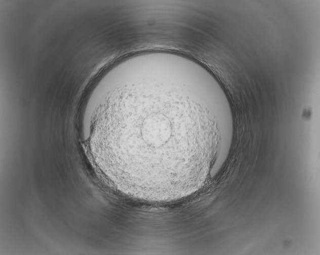 X0000116870304201002021133