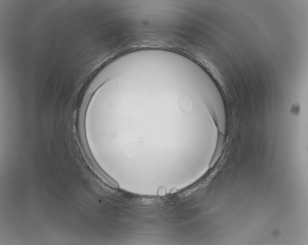 X0000116870305201002021133