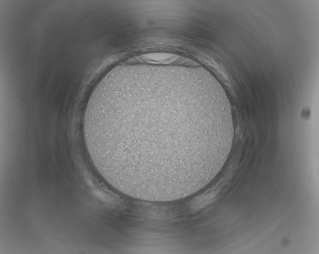 X0000116870306201002021133