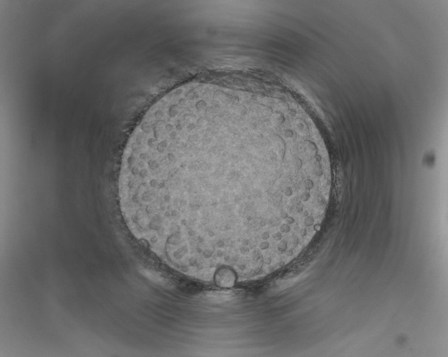 X0000116870307201002021133