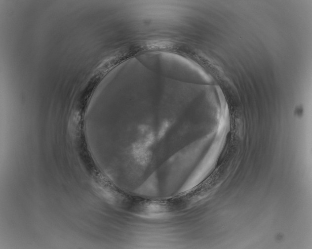 X0000116870308201002021133