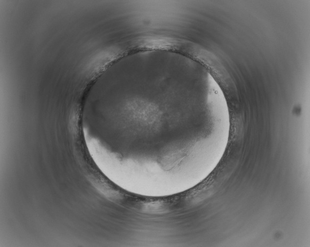 X0000116870309201002021133
