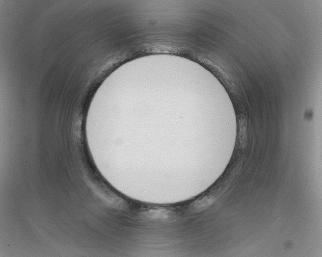 X0000116870310201002021133
