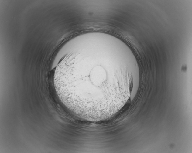 X0000116870312201002021133