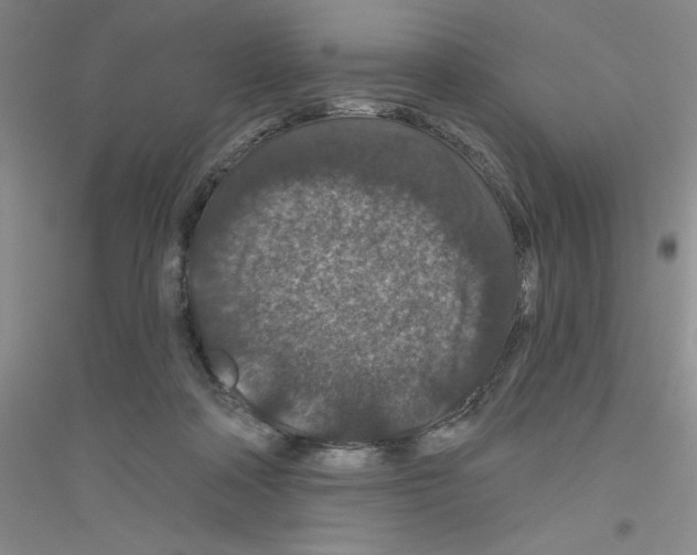 X0000116870314201002021133