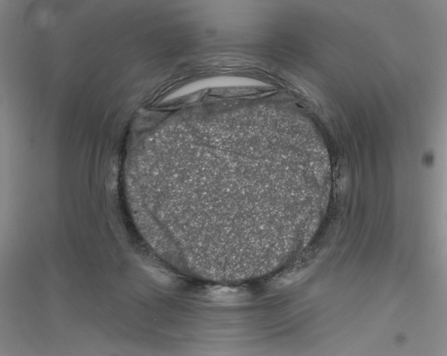 X0000116870315201002021133