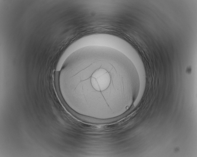 X0000116870316201002021133
