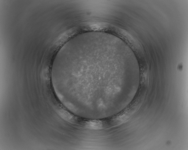 X0000116870317201002021132