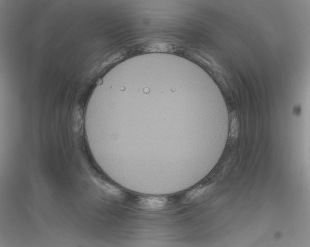 X0000116870318201002021132
