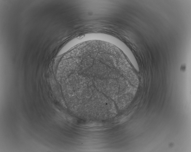 X0000116870319201002021132