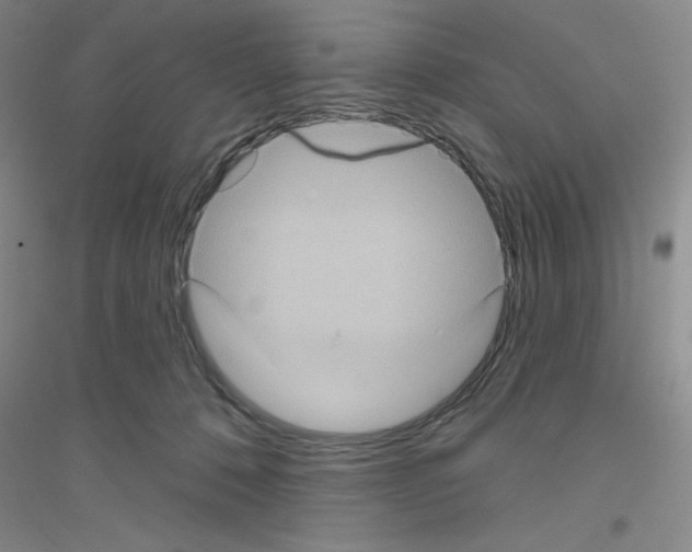 X0000116870320201002021132