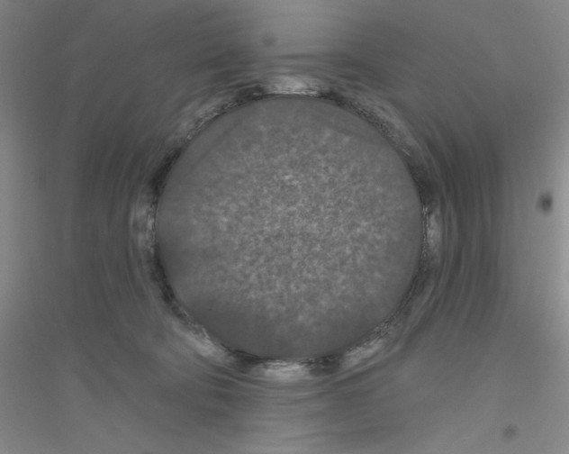 X0000116870322201002021132