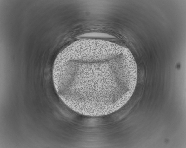 X0000116870323201002021132