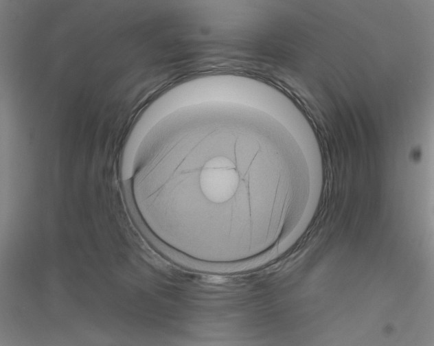 X0000116870325201002021132