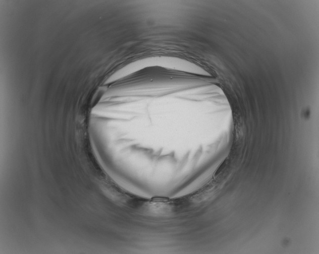 X0000116870327201002021132