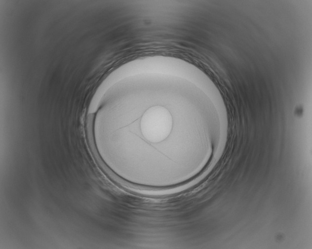 X0000116870328201002021132