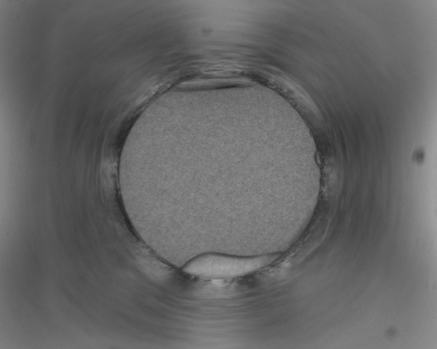 X0000116870329201002021132