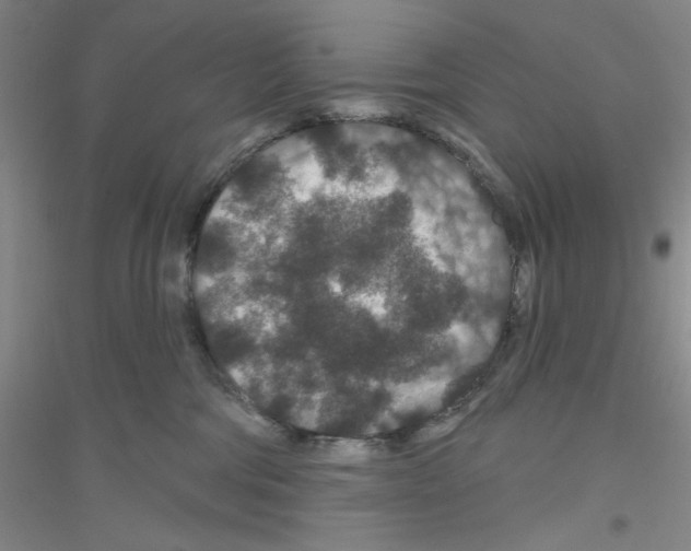 X0000116870330201002021132
