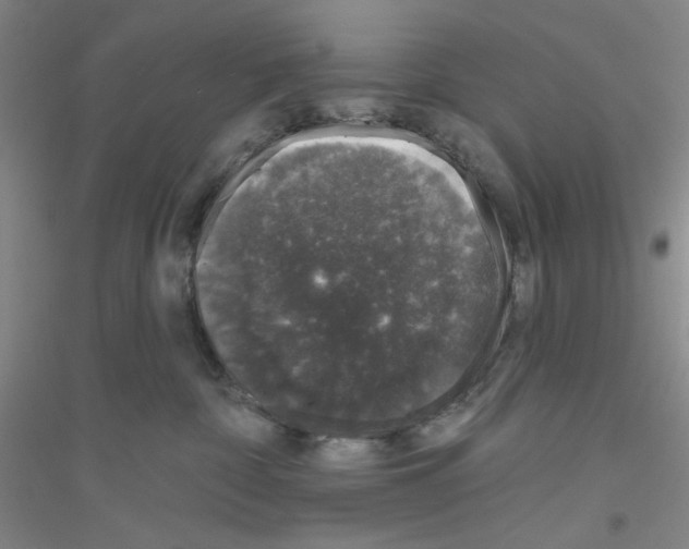 X0000116870332201002021132