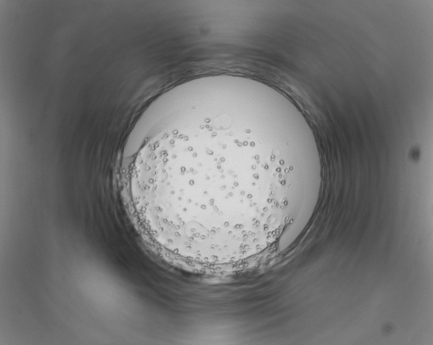 X0000116870333201002021132
