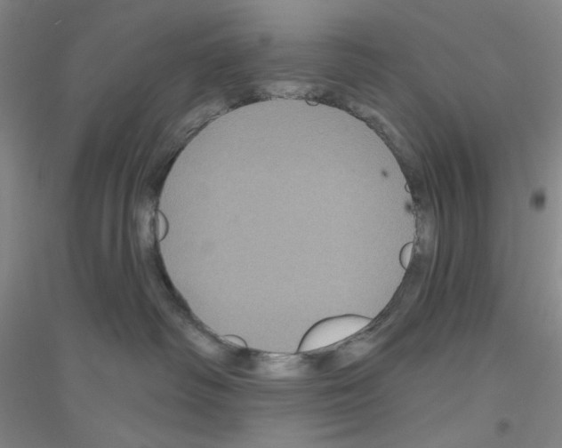 X0000116870334201002021132