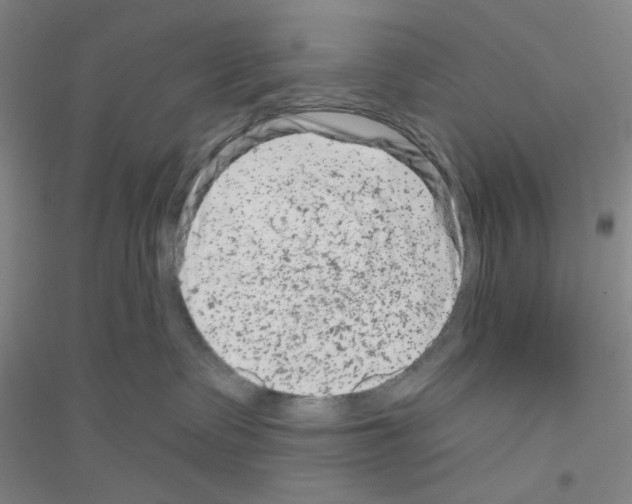 X0000116870335201002021132
