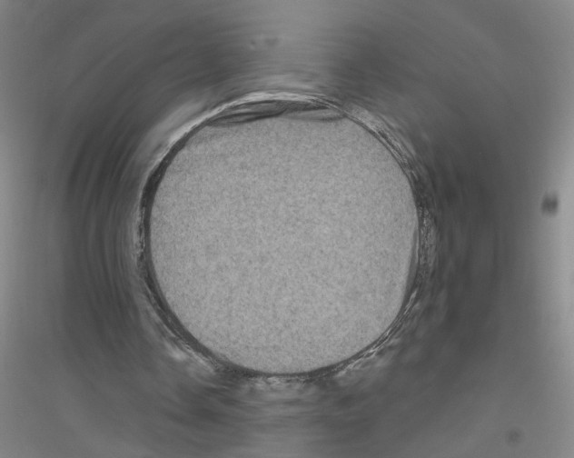 X0000116870338201002021132