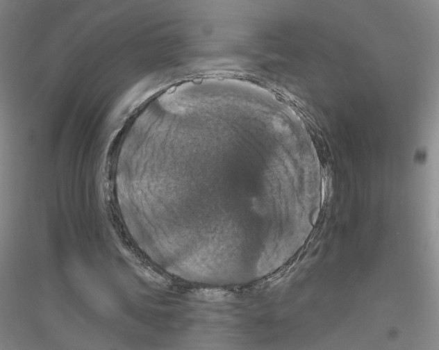 X0000116870339201002021132