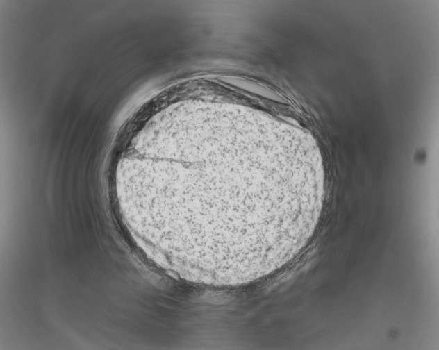 X0000116870341201002021132