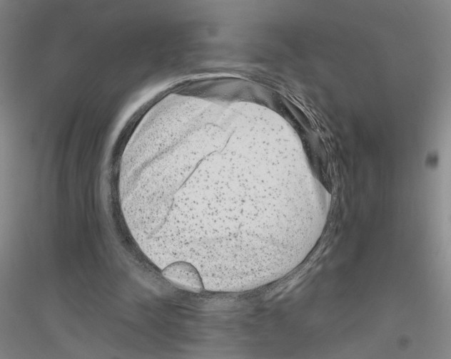 X0000116870342201002021132