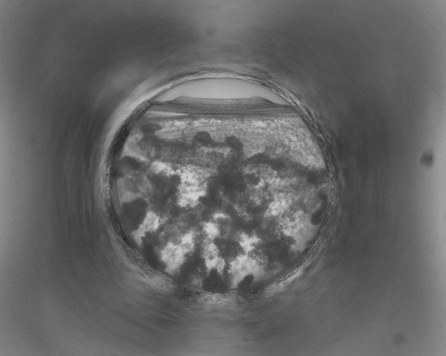 X0000116870343201002021132