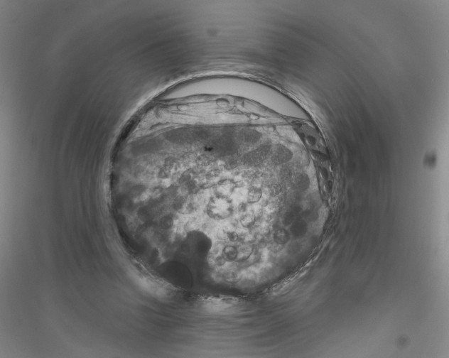X0000116870346201002021132