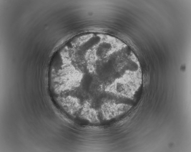 X0000116870349201002021132