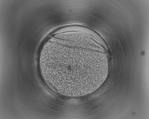 X0000116870350201002021132