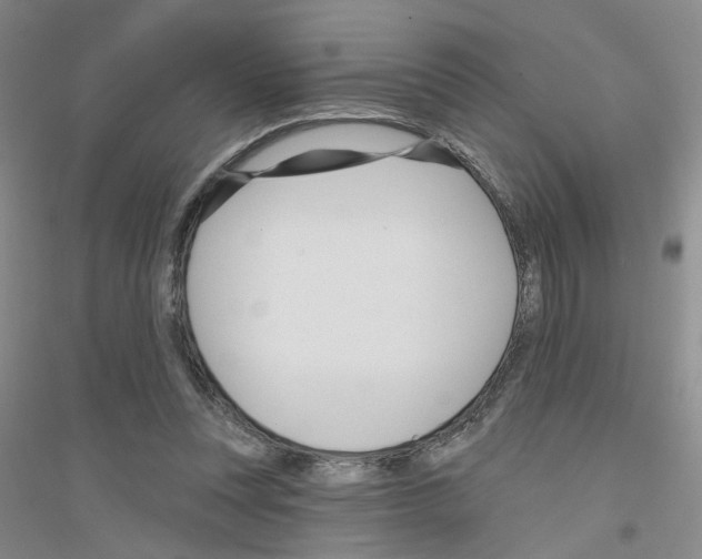 X0000116870351201002021132