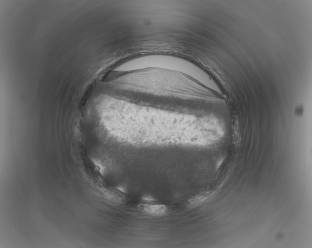 X0000116870355201002021132