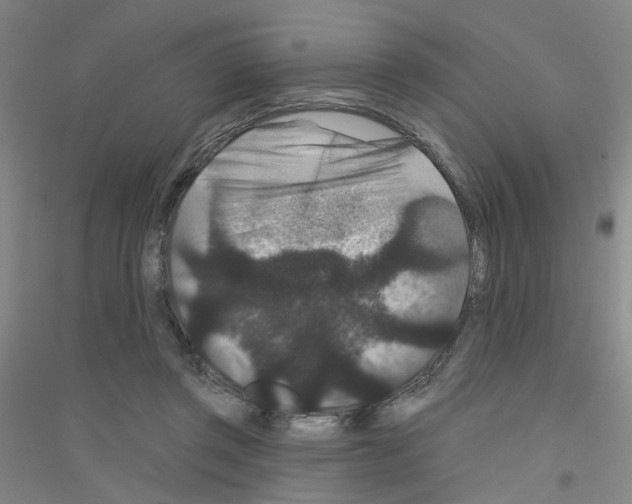 X0000116870357201002021132