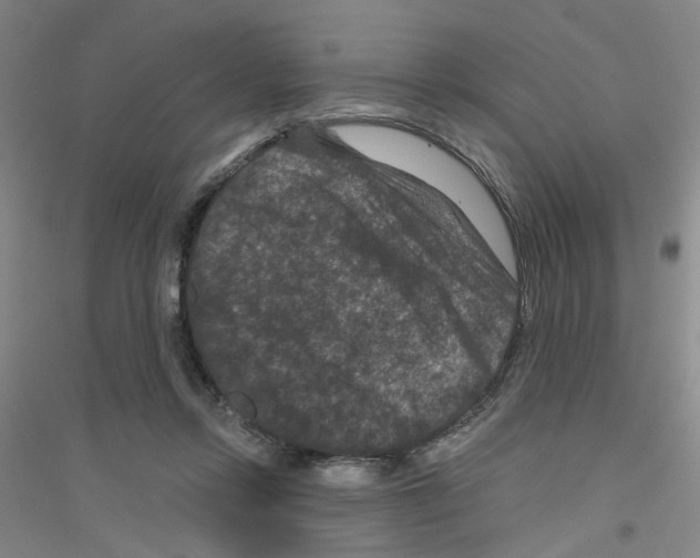 X0000116870358201002021132