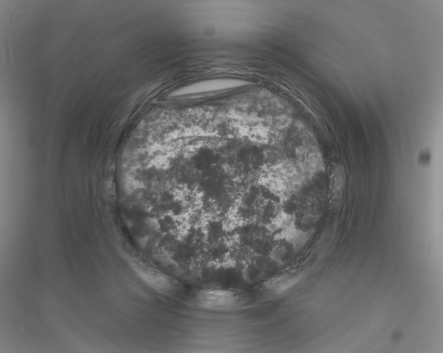 X0000116870361201002021132