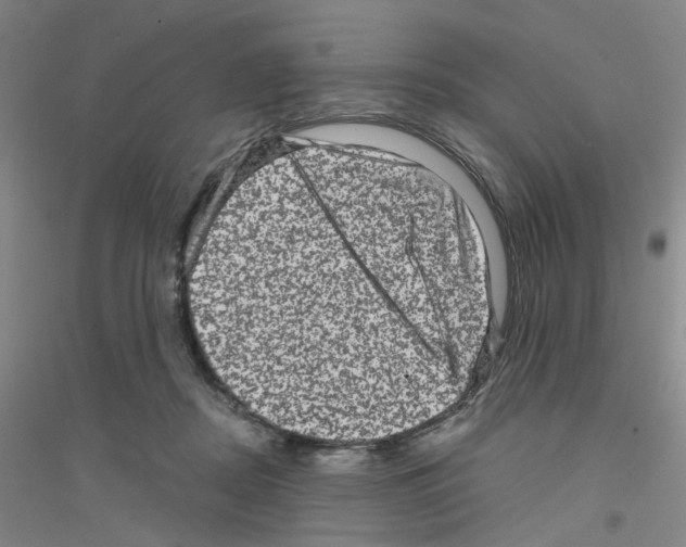 X0000116870362201002021132