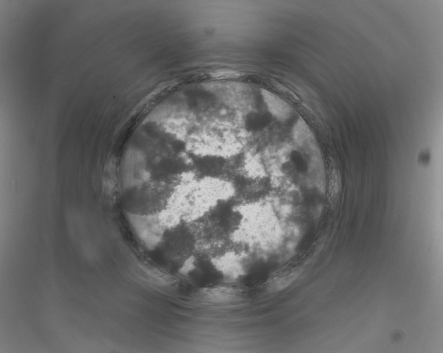 X0000116870367201002021132