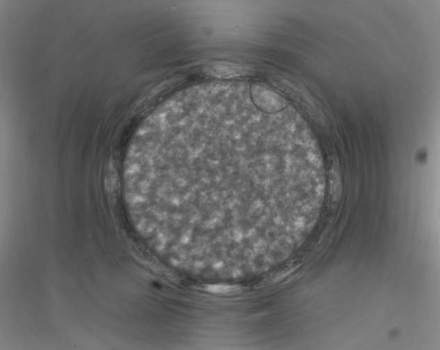X0000116870371201002021132